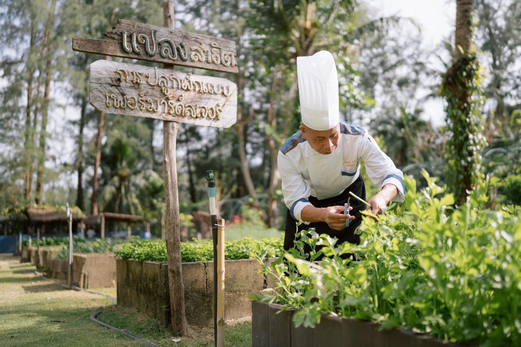 Apsara Beachfront Resort & Villa - Sha Extra Plus Khao Lak Dış mekan fotoğraf